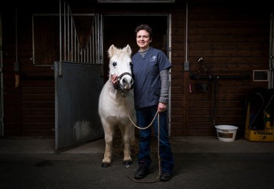 Gérer le cheval âgé - Recommandations du Dr Valérie Deniau