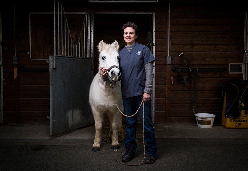 Gérer le cheval âgé - Recommandations du Dr Valérie Deniau